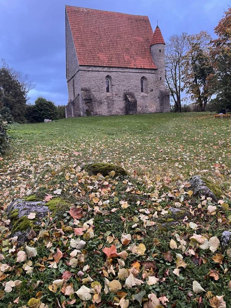 Saha kabel ja tema lood