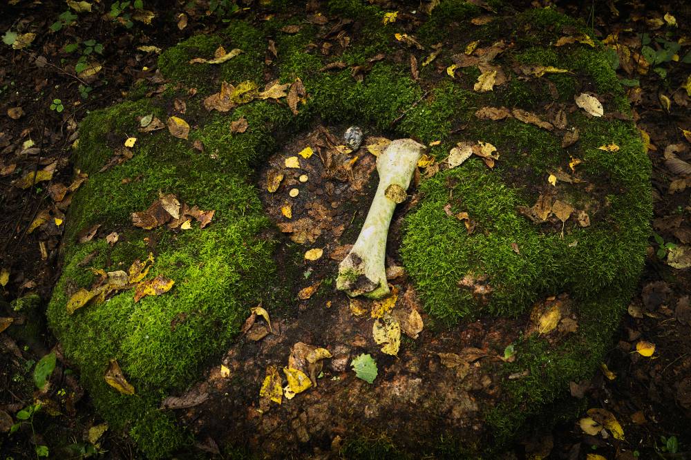Haage Pühakivi - peidus, aga mitte unustatud