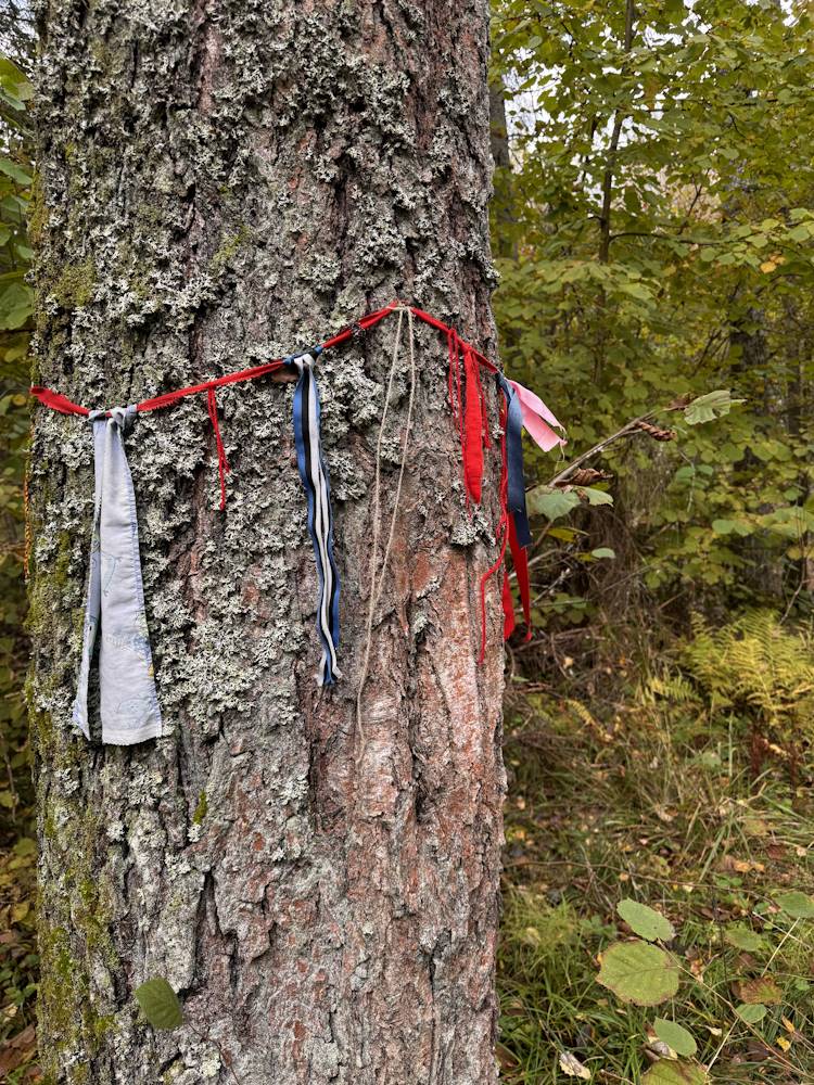 Rahu ja tervis Tallinna-Tartu maantee ääres Saula Siniallikad