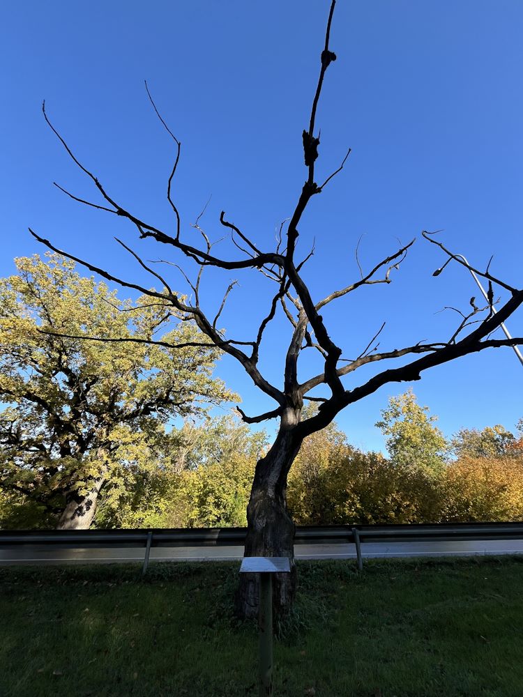 Minu kodutee läbi pühapaiga