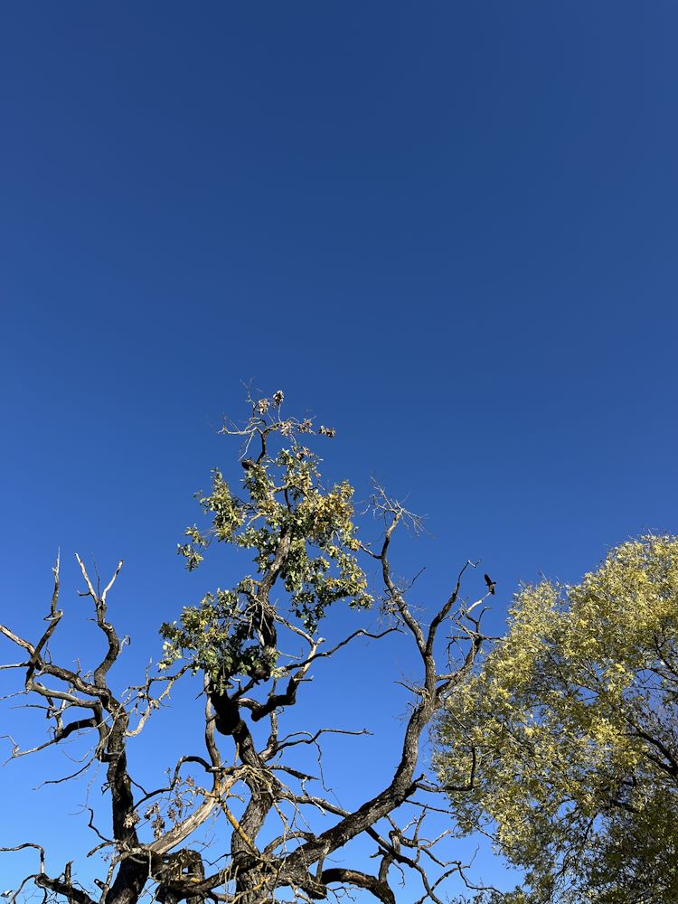 Minu kodutee läbi pühapaiga