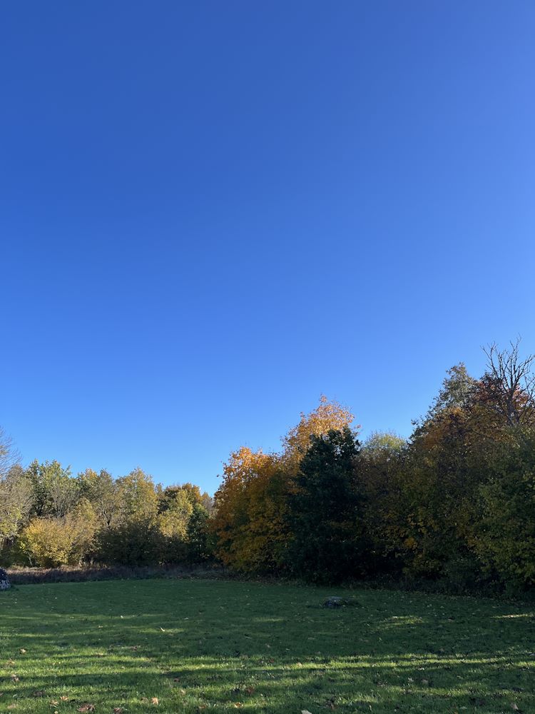 Minu kodutee läbi pühapaiga