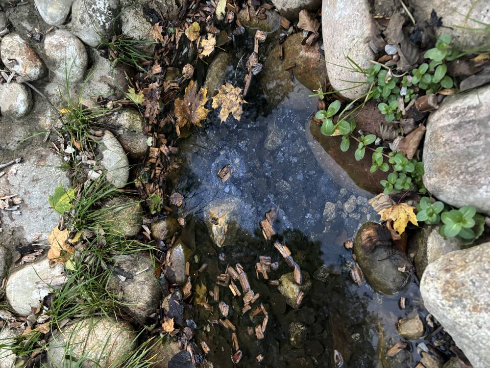 Rauaallikas lubjamäel on taastatud.