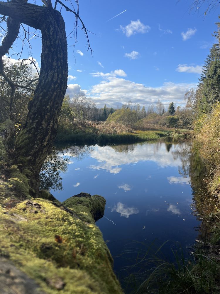 Maagiline Siniallikas