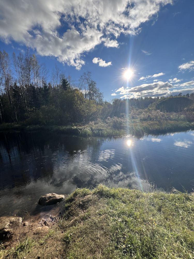 Maagiline Siniallikas