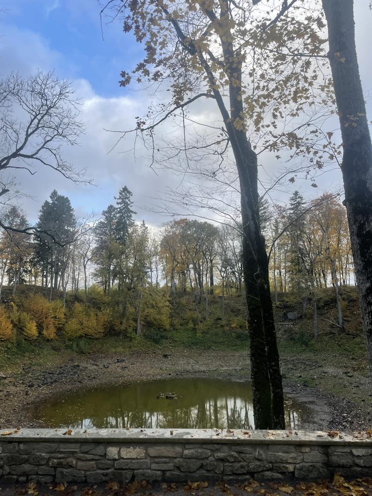 Kaali kraater ehk Pühajärv Saaremaal - maavälise jõu tulemus