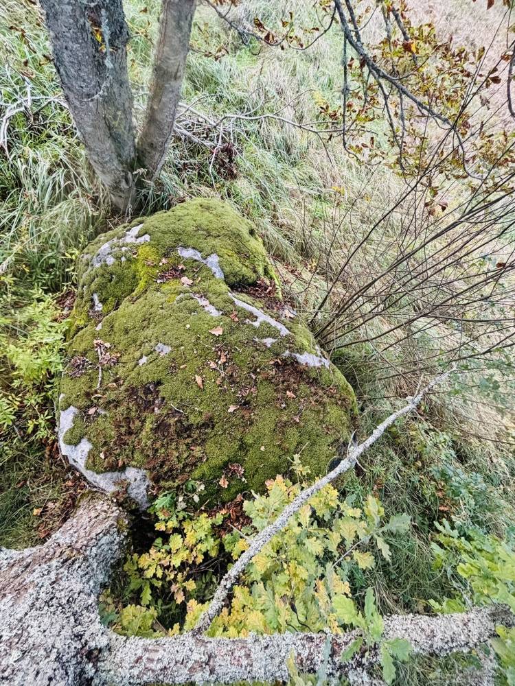 Pilguheit ohvrikivile