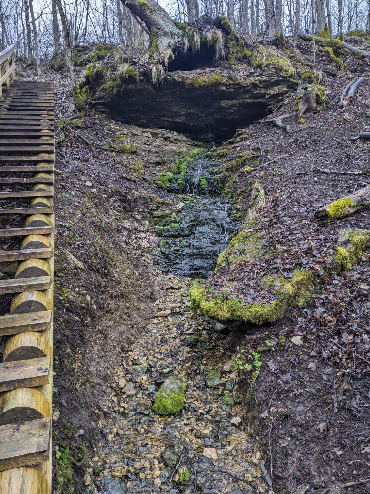 Salevere silmaallikas