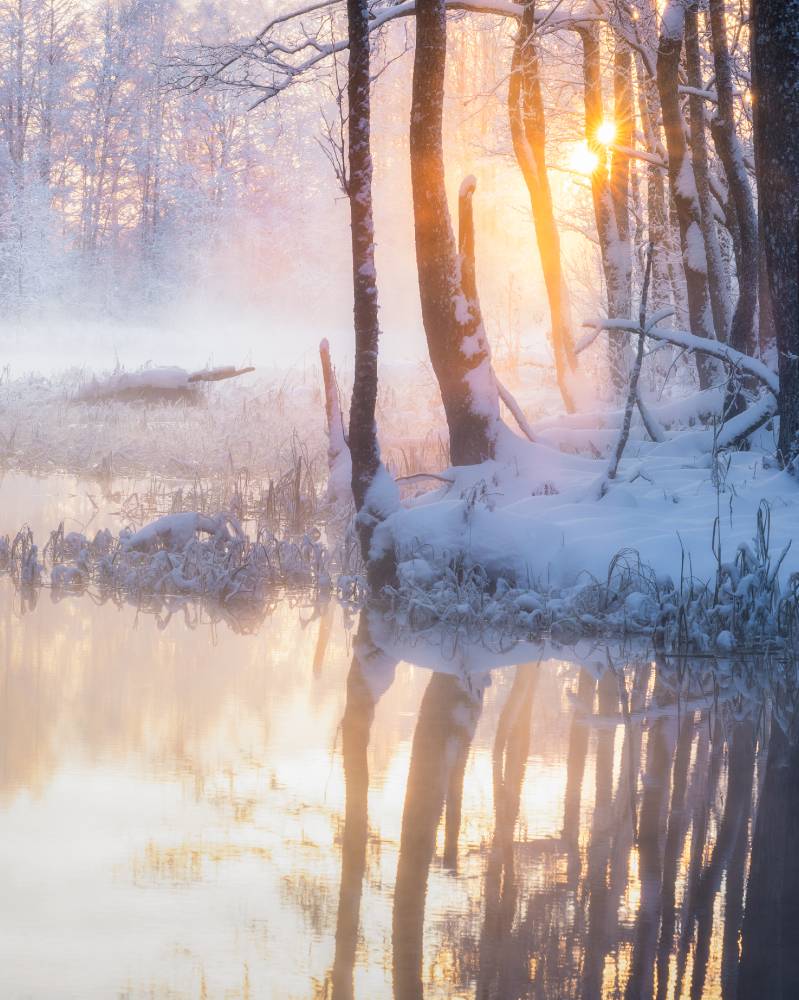 Karge hommik Prandi allikatel