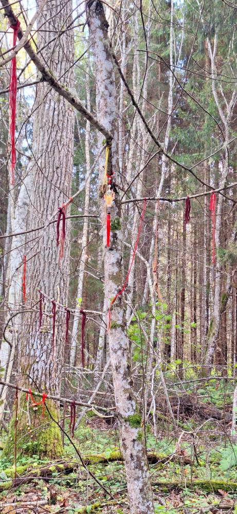 Kolm korda päästetud