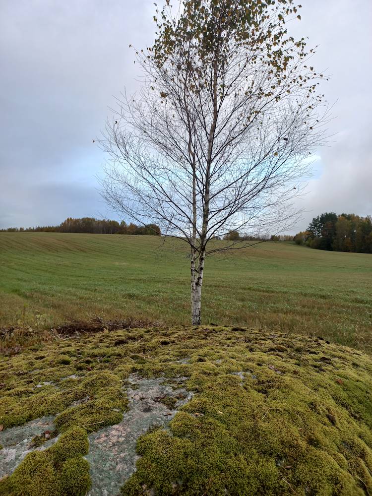Kullaga ohvrikivi – muistne soovide paik