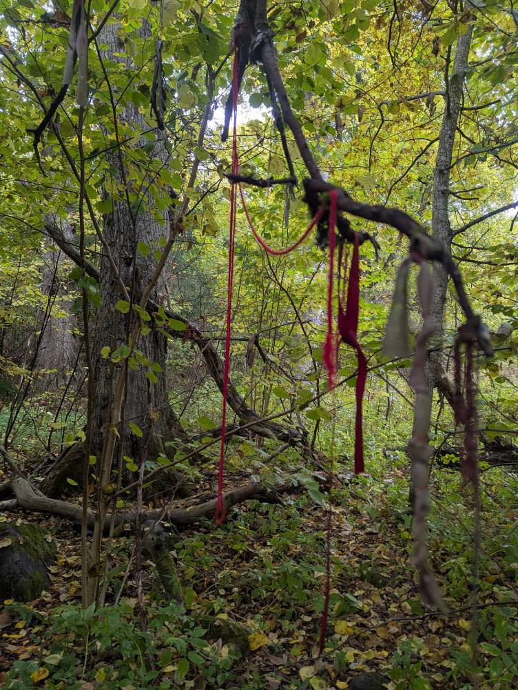 Kiigeoru hiiesalu – rahu ja mälestuse paik