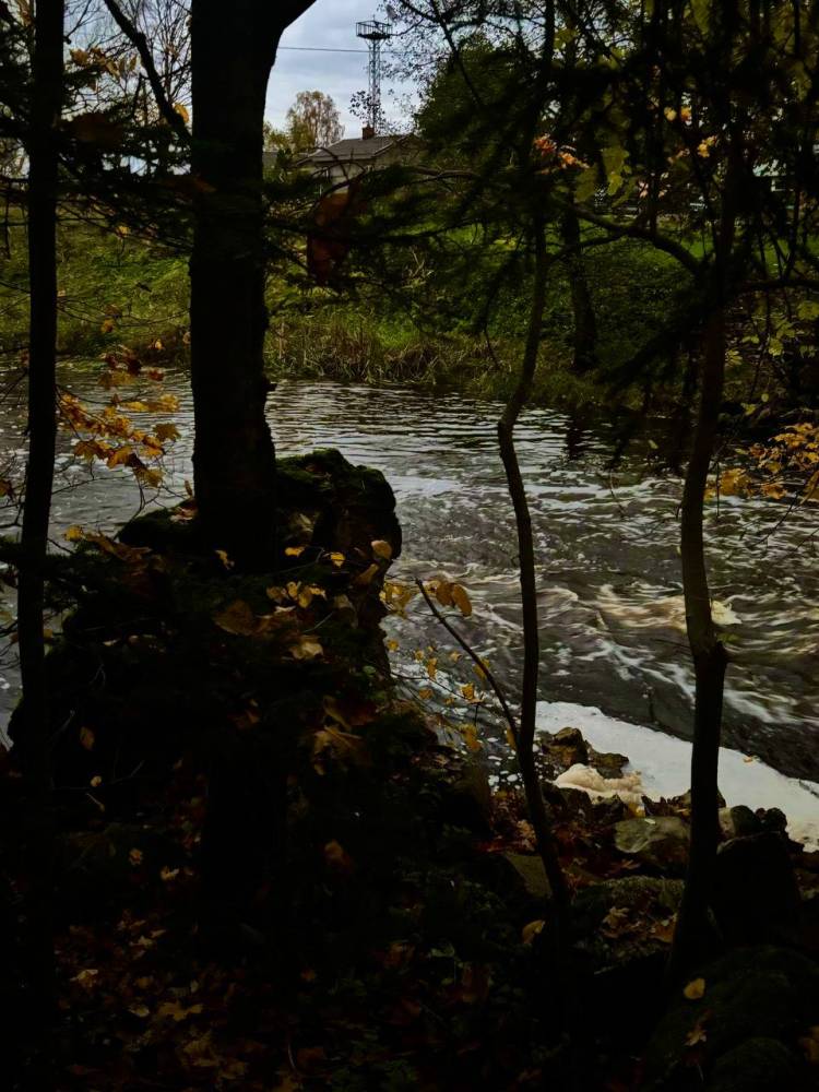 Maidla hiis sügisvõludes.