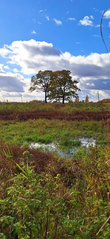 Pärandmaastike kalliskivi