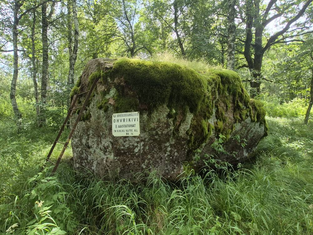 Ohvrikivi on juuksed saanud 