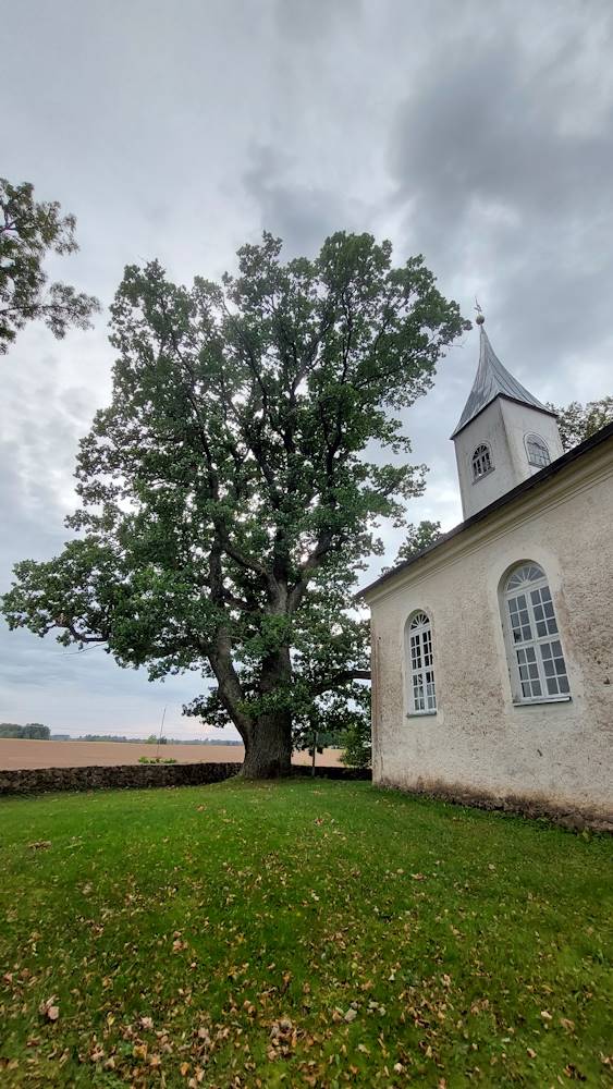 Vara ohvritamm septembrikuus