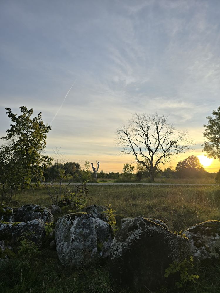 Põlise Leppe kivid - Hiiumaa Stonehenge
