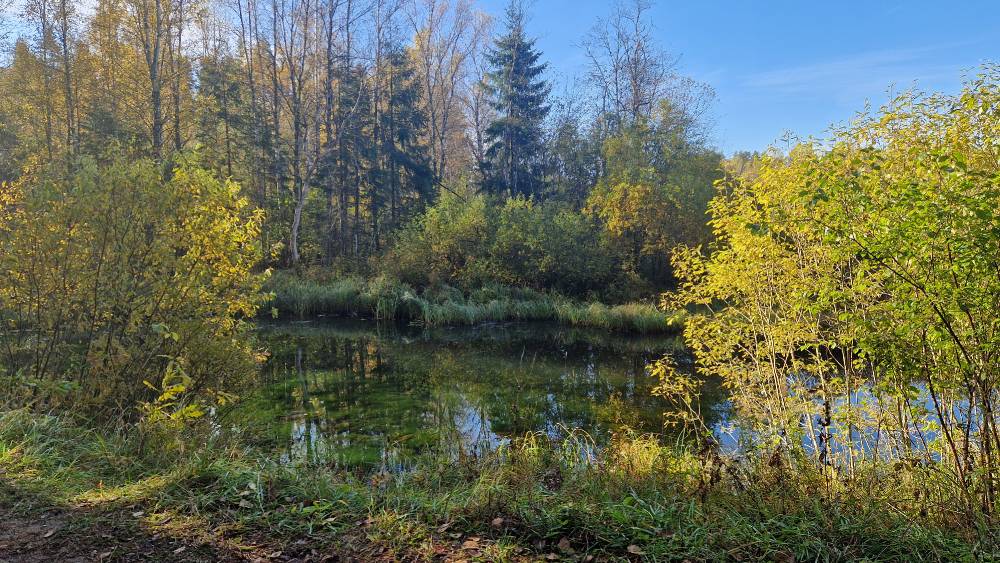 Helgust täis allikas