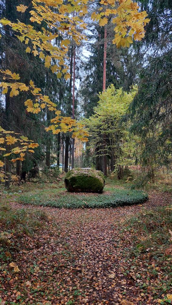 Sammaldunud hiiekivi
