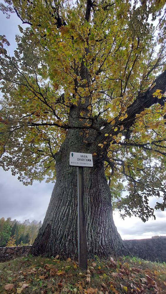 Lamades ja imetledes