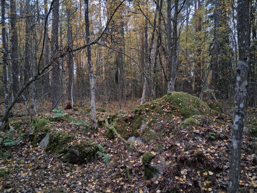 Sügis Tyrvää Hiidenmäel