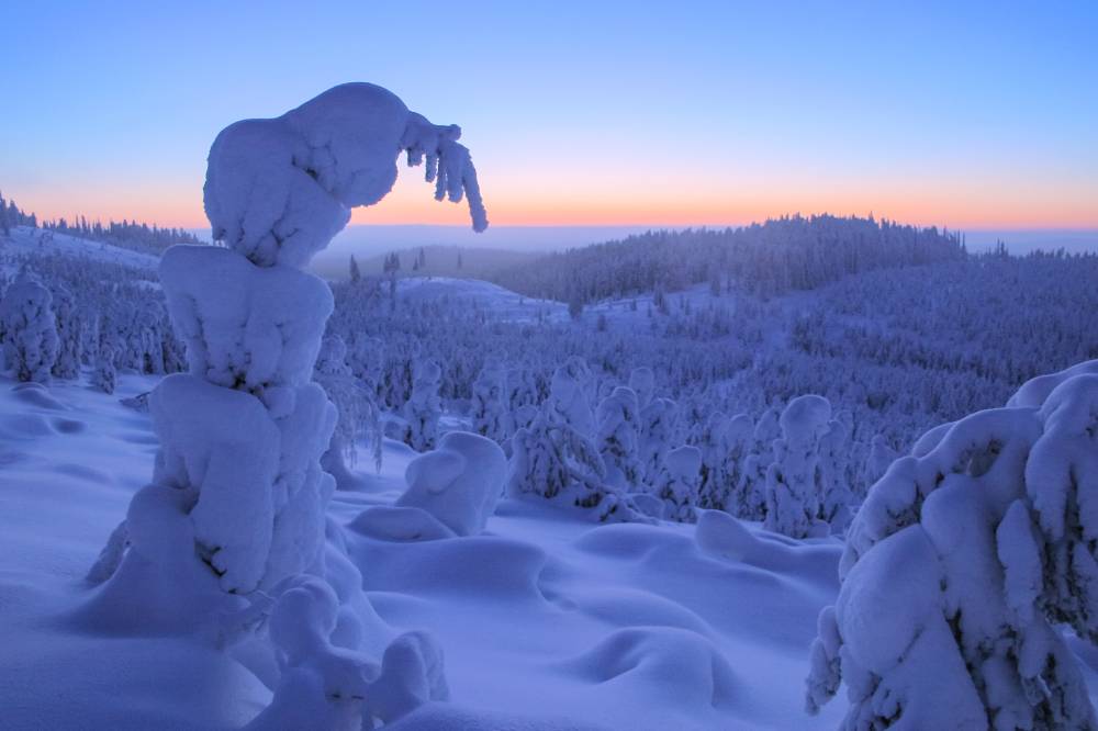 Pyhävaaran kinokset