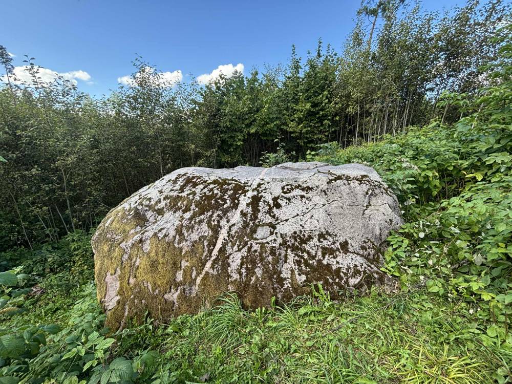 Kalevipoja lingukivi Kassinurme mägedes Jõgevamaal.