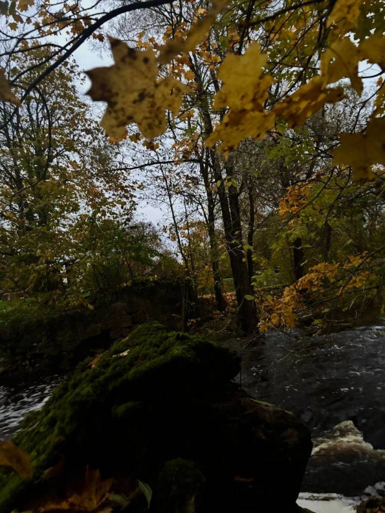 Maidla hiis sügisvõludes.