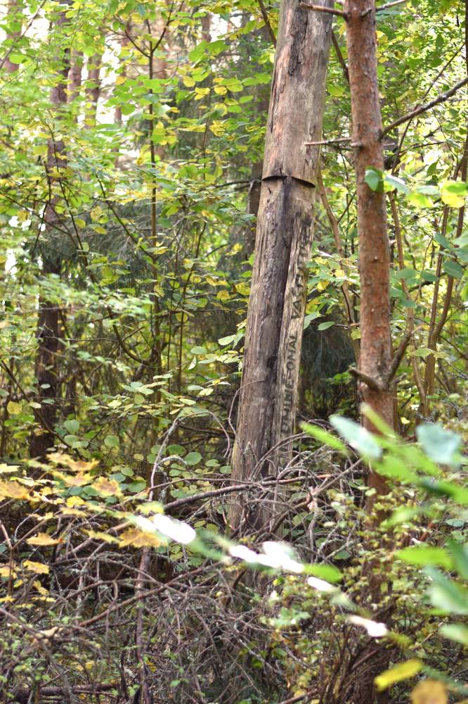 Kiikumine omal vastutusel