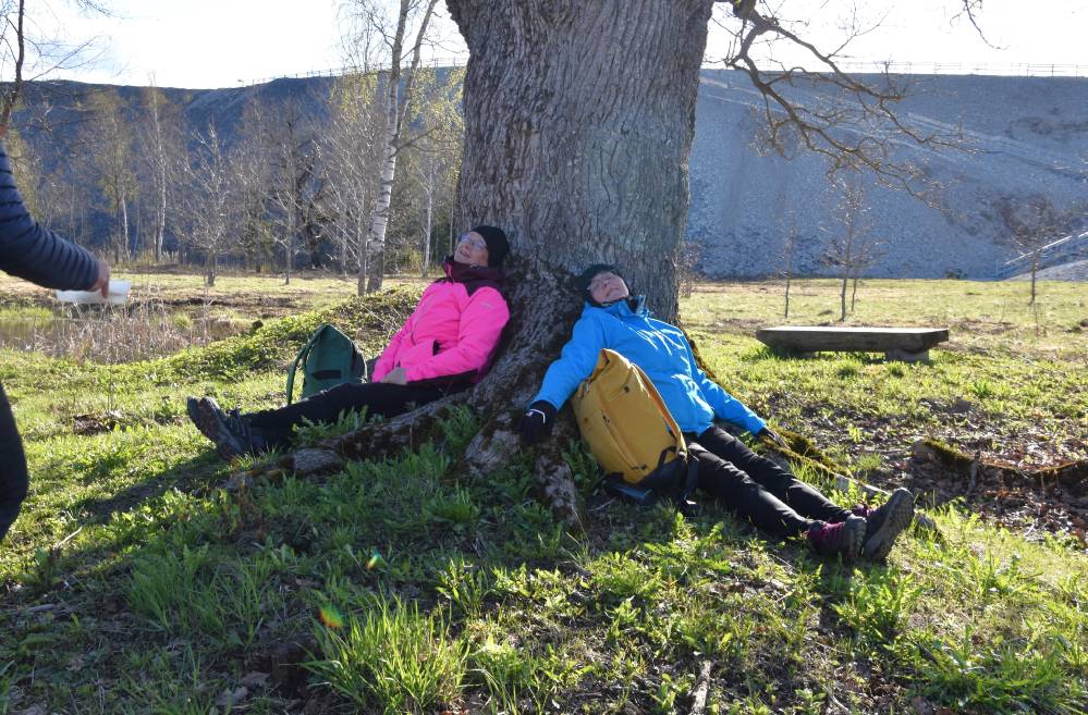 Väsinud matkalised iidselt tammelt jõudu ammutamas.