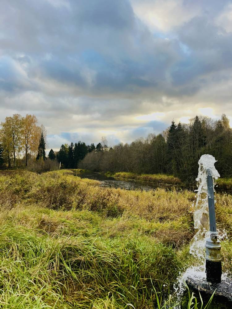 Maidla hiis sügise kullas