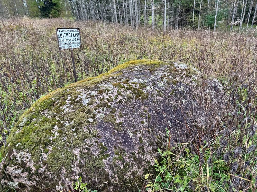 Valgjärve hiie püha kivi