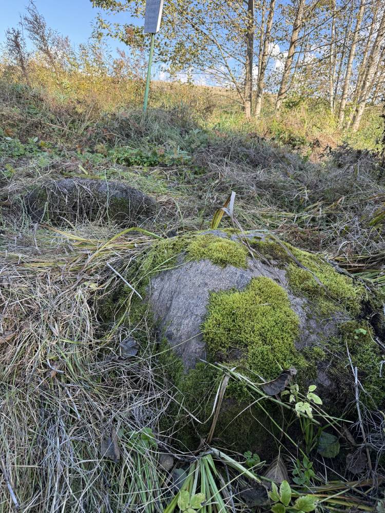 Salu küla püha kivi