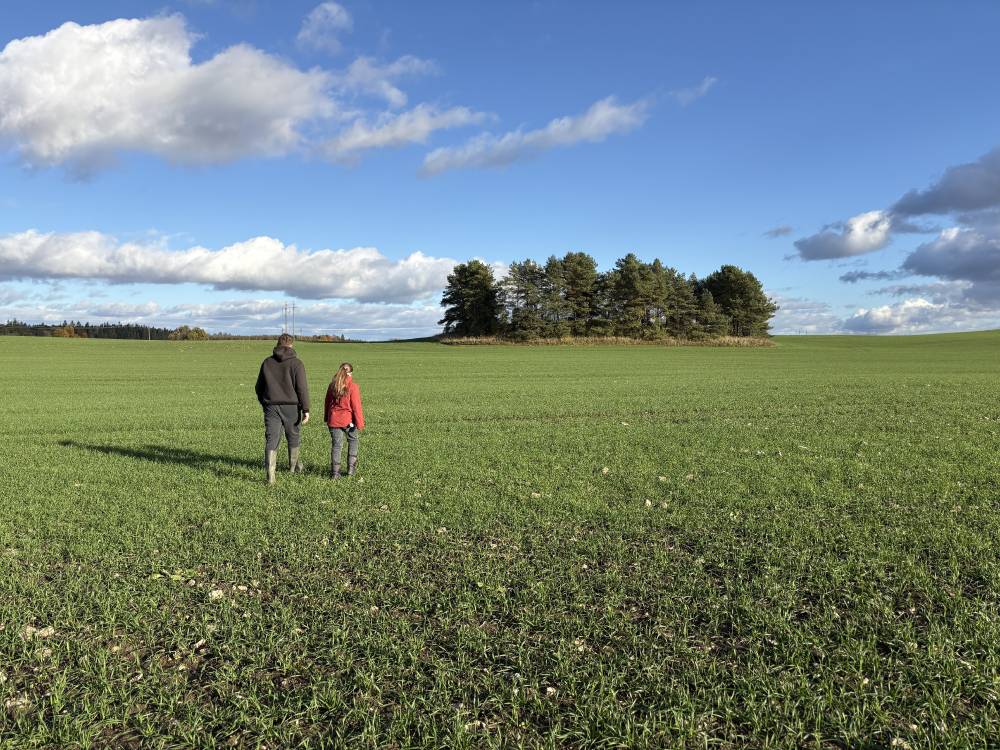 Nõiamägi Käravetel