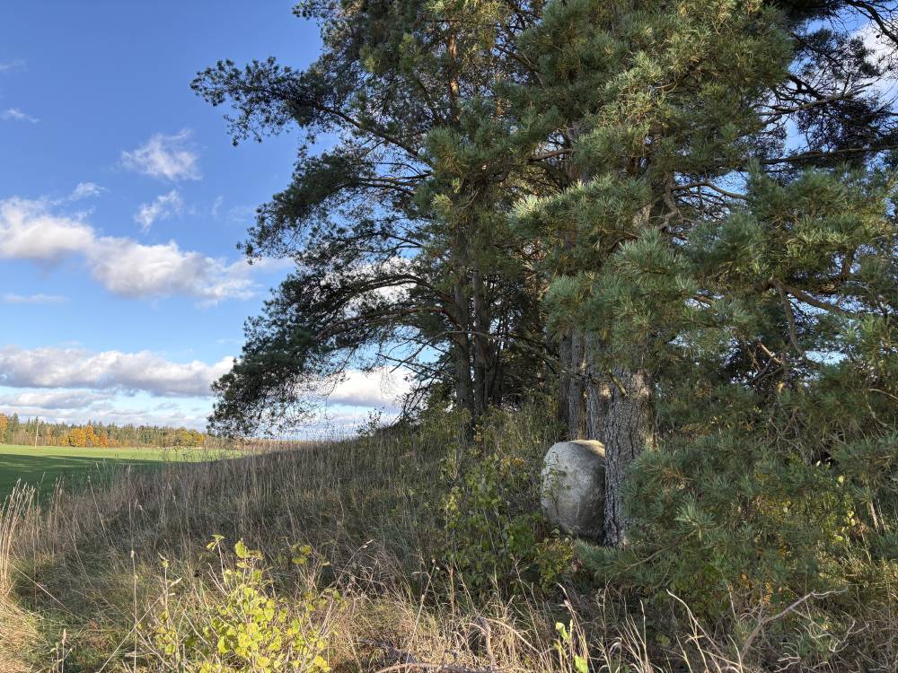 Nõiamägi Käravetel