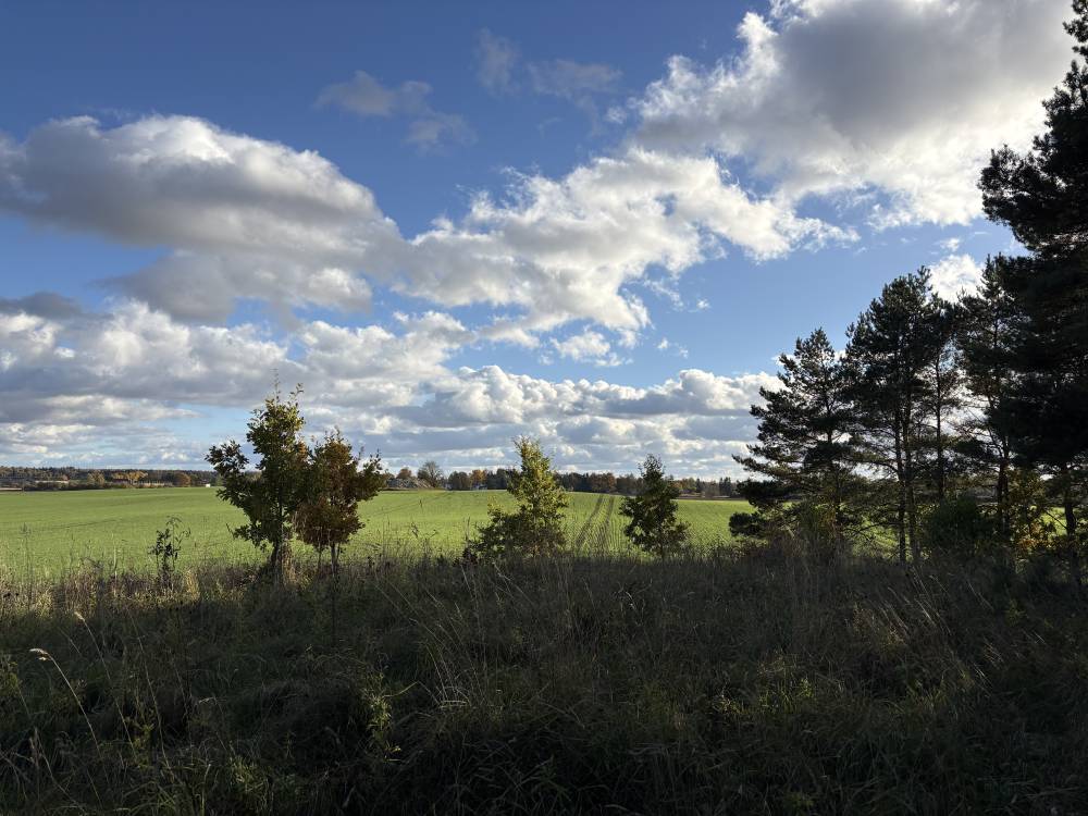 Nõiamägi Käravetel