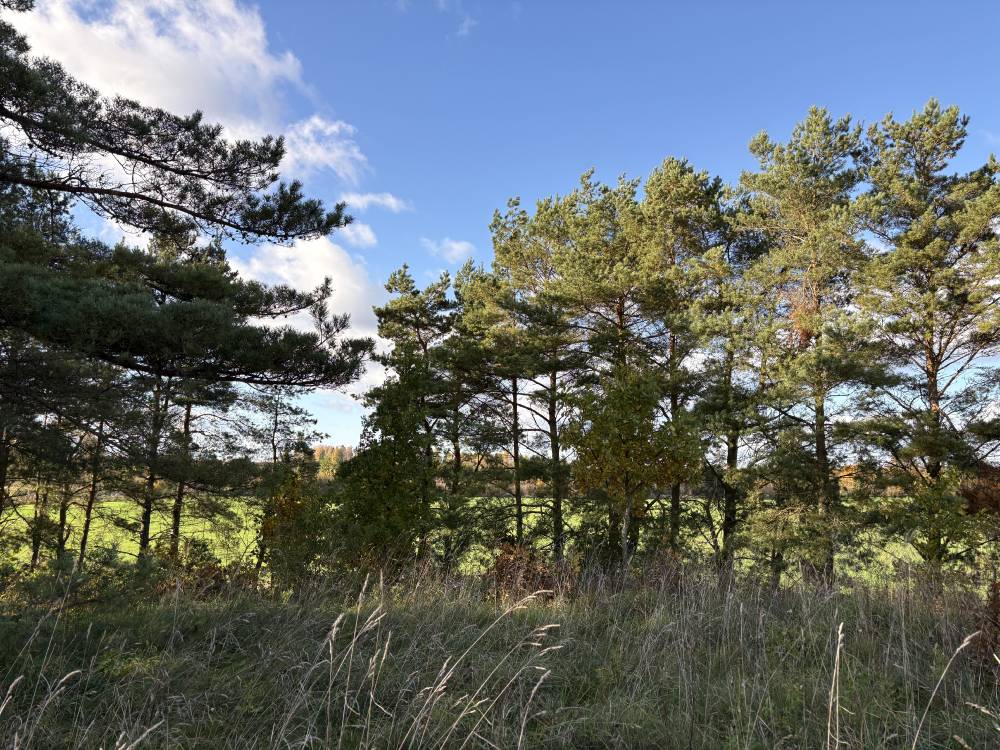 Nõiamägi Käravetelt