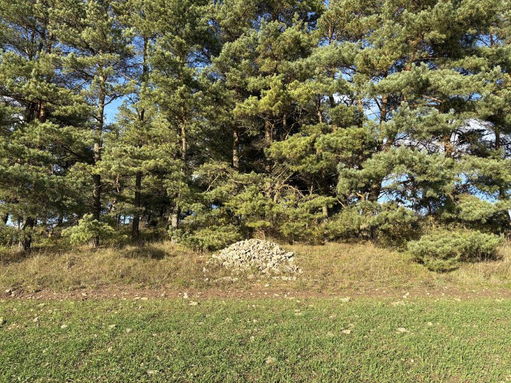 Nõiamägi Käravetel