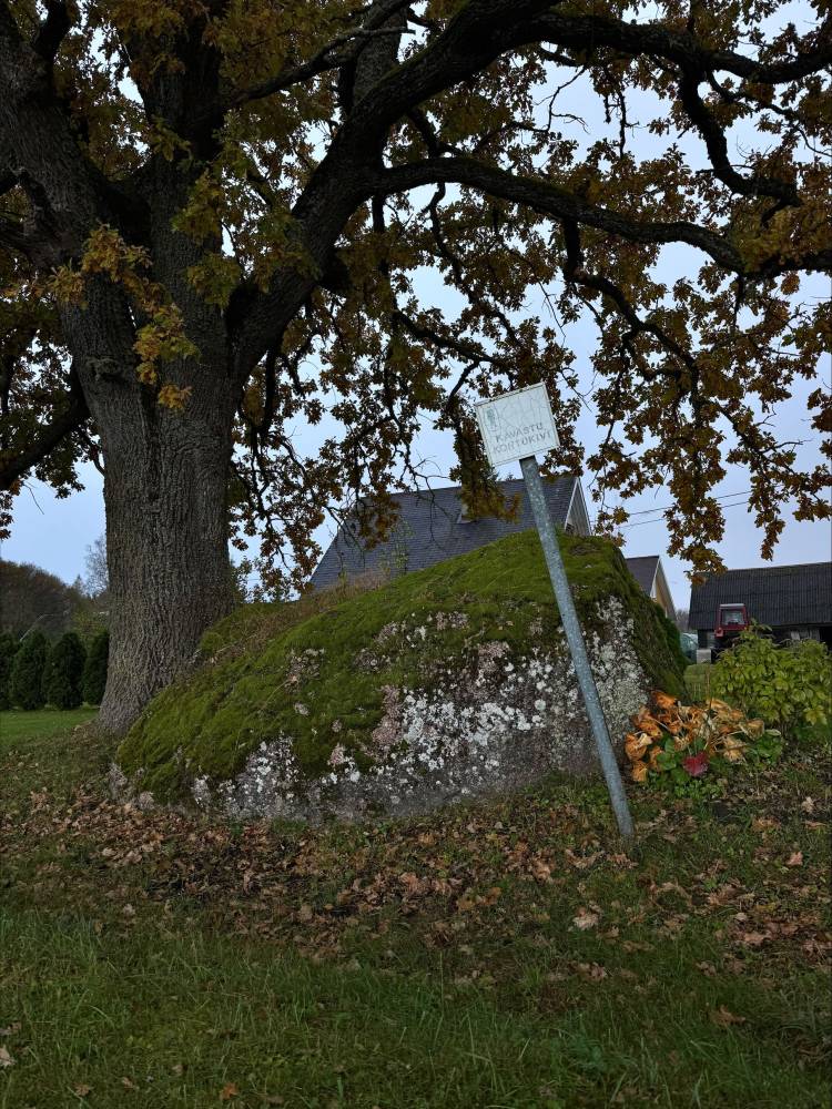 Kavastu kohtukivi – ajatu tunnistaja