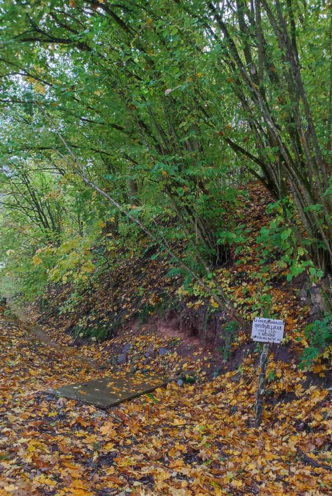 Ohvriallikas Kaveläte