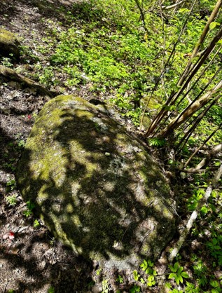 Kiigeoru ohvrikivi – muistne austuse paik