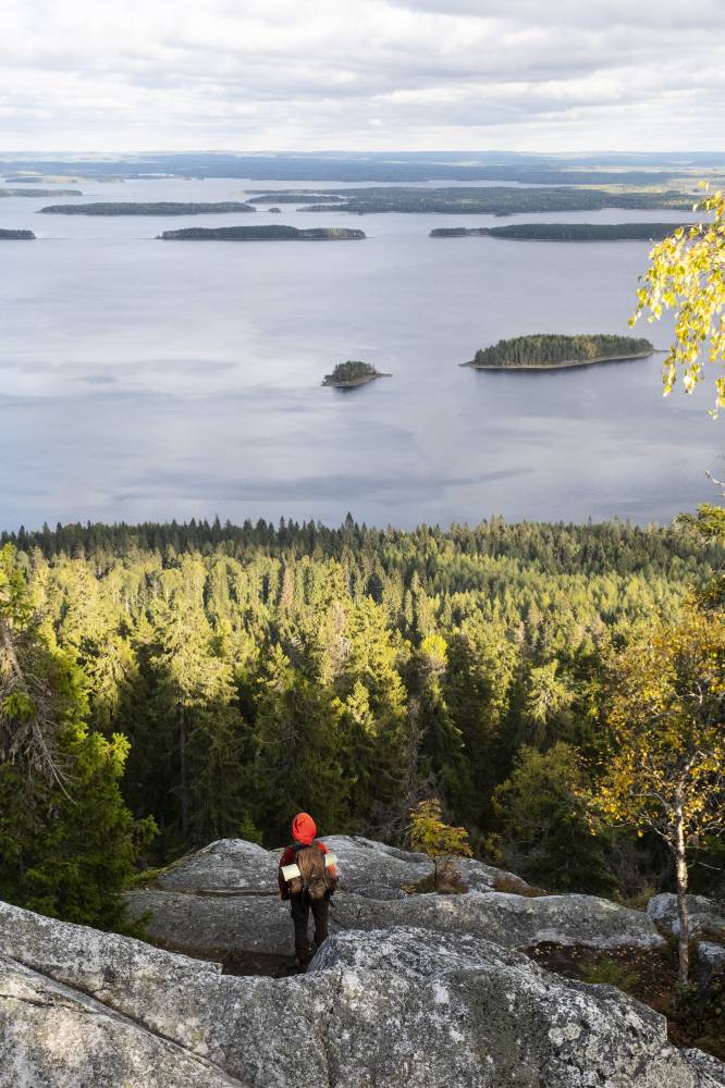 Koli