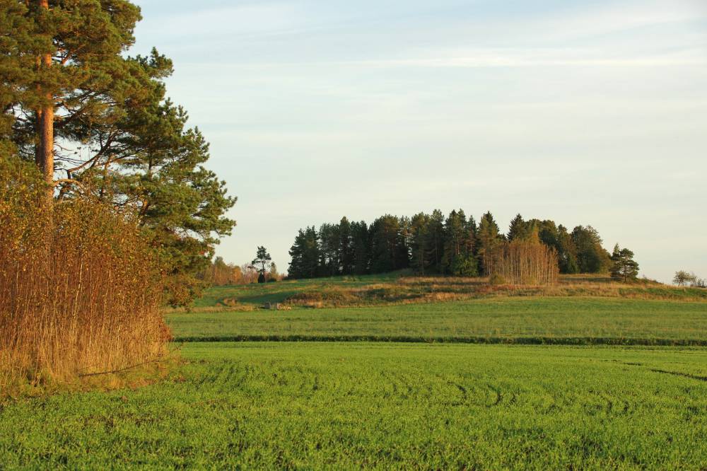 Sügis Kastna hiiemäel