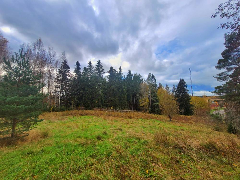 Muikunvuoren kalmistometsikkö