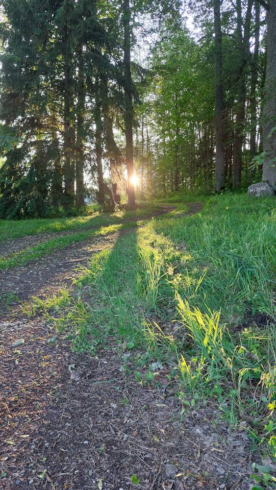 Pööriõhtuvalgus Meoma Hiiemäe jalamil
