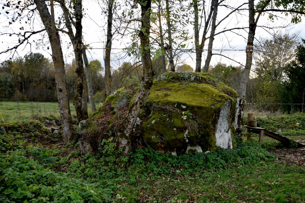 Hallikivi
