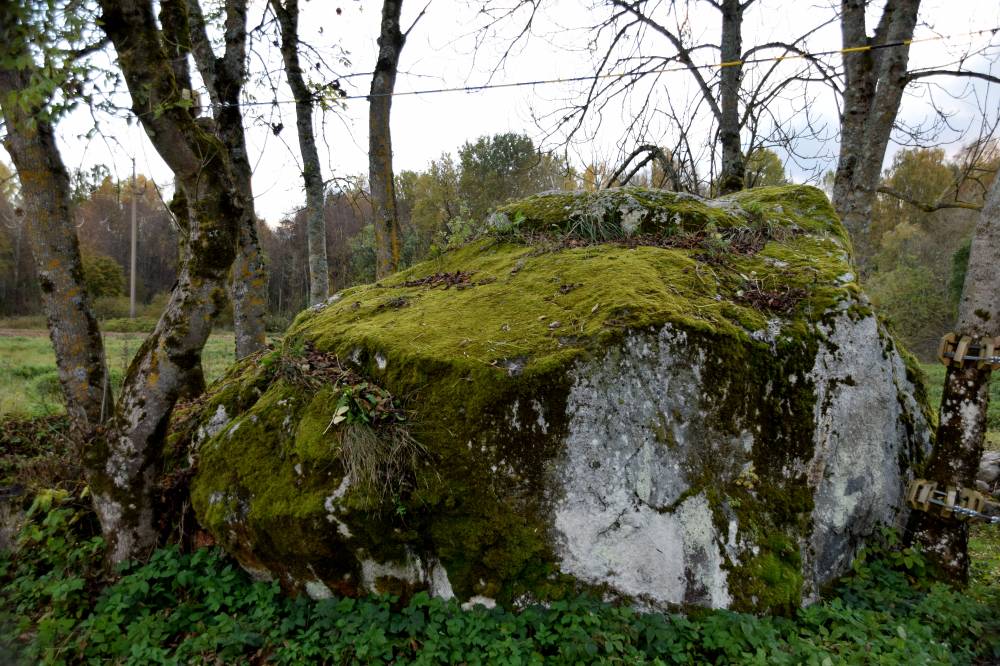 Hallikivi