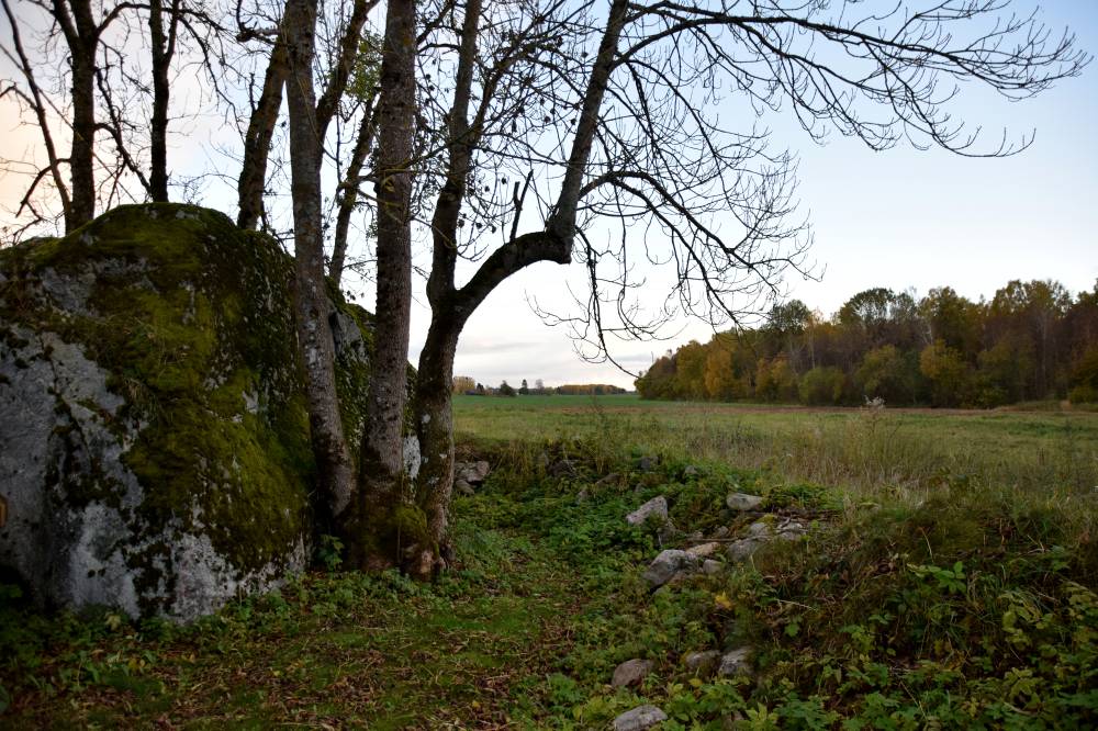 Hallikivi