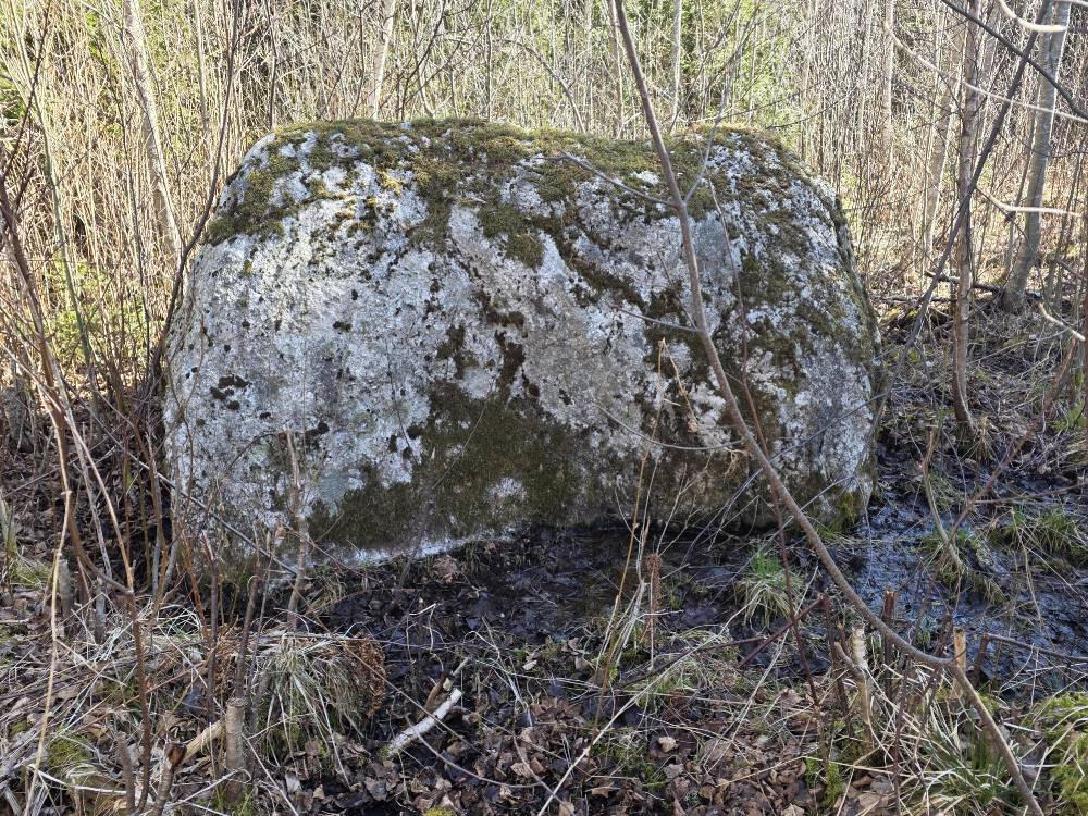 Upsalu ohvrikivi kevadel