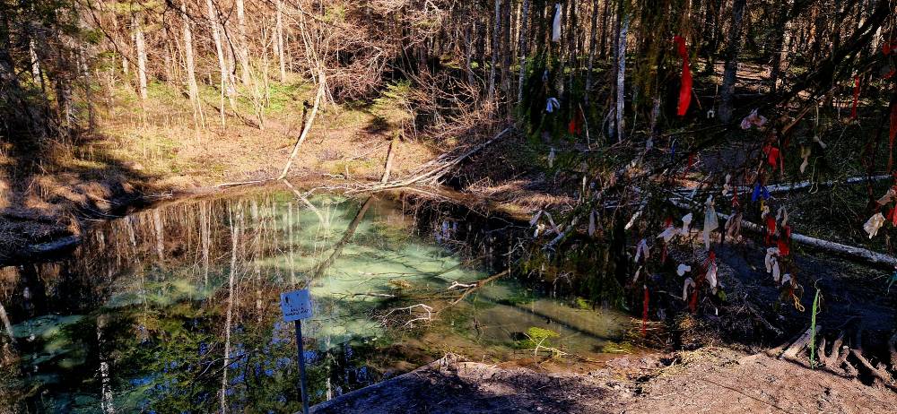 Pühapaik Saula Siniallikad